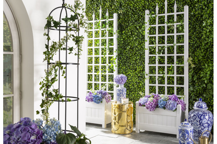 What Is a Trellis? Wayfair Canada